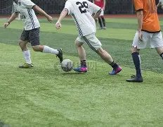 狼队与森林,半场战平,伊戈尔,米乐YY易游登录入口,米乐YY易游平台,米乐YY易游注册网址,米乐YY易游app,米乐YY易游官网,米乐YY易游网站,米乐YY易游网页版